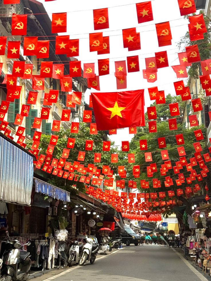 Cờ dây sao đảng-tổ quốc